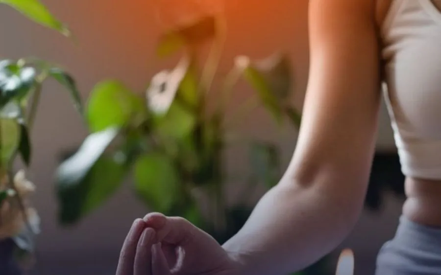 Mindfulness e meditação